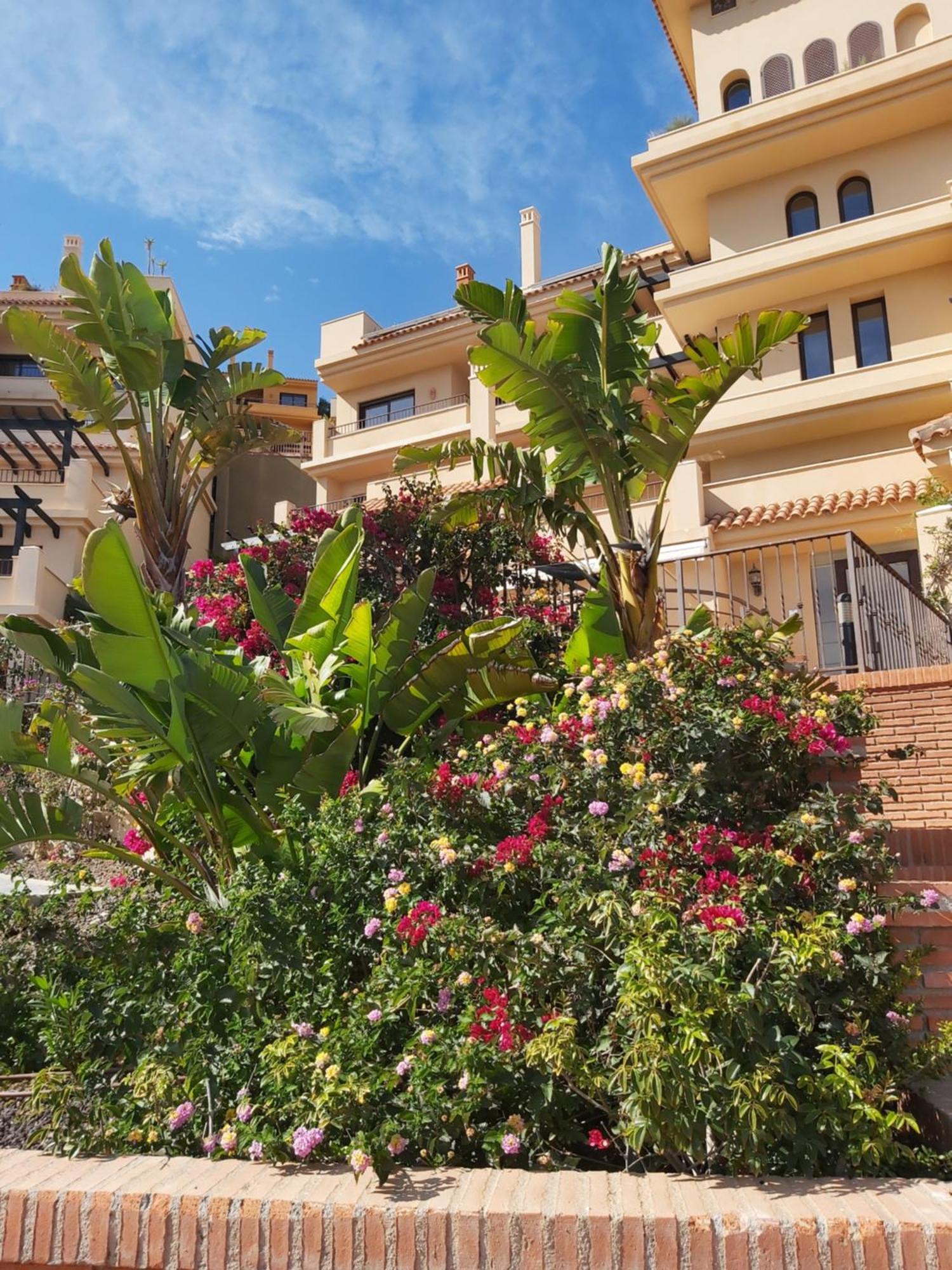 Casa Don Marco Διαμέρισμα Águilas Εξωτερικό φωτογραφία